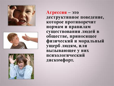 Агрессивные инстинкты и поведение