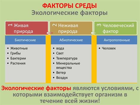 Агрессивные факторы окружающей среды