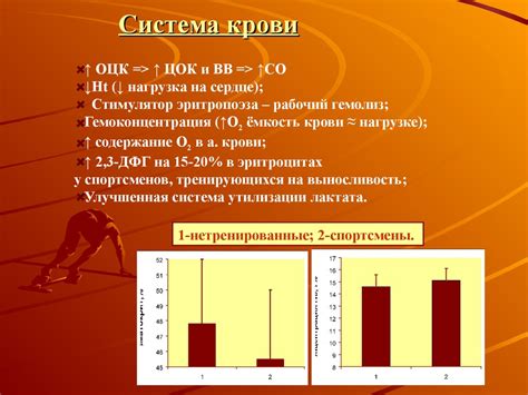 Адаптации медведей к длительным плаваниям