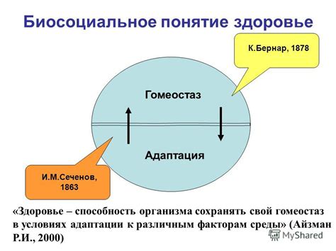 Адаптационные механизмы организма