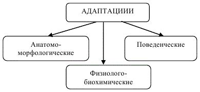 Адаптивные механизмы растений