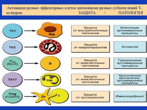 Активация иммунной системы