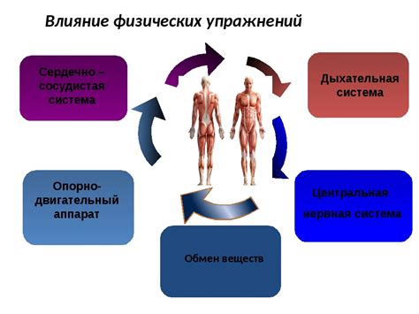 Активность нервной системы