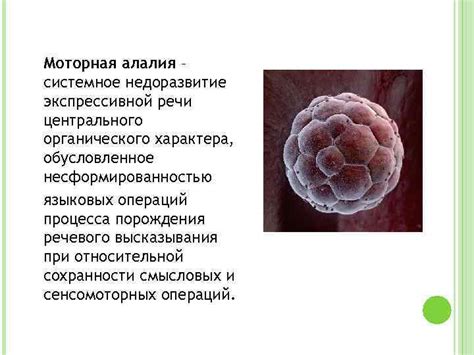 Алалия – определение и число групп по Р Е Левину