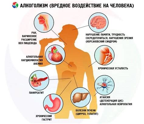 Алкоголь: что происходит в организме?