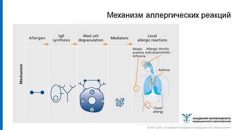 Аллергические реакции и причины появления соплей