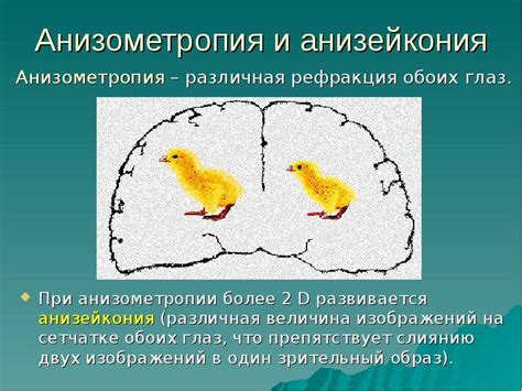 Анизометрия тела