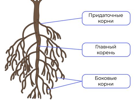 Атавистические корни