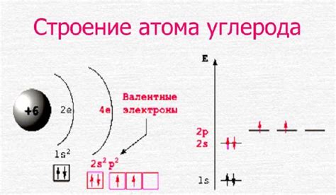 Атом углерода: электронная конфигурация и свойства