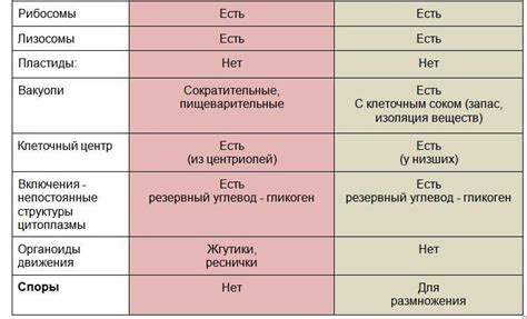 Безчувственный и бесчувственный: сходства и различия