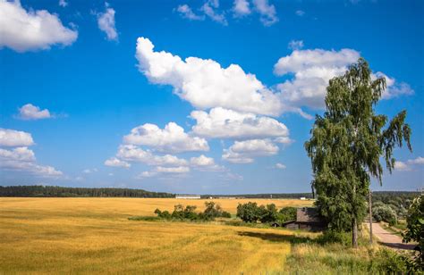 Беларусь - земля прекрасной природы