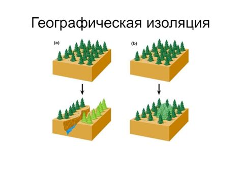 Биологическая изоляция континента