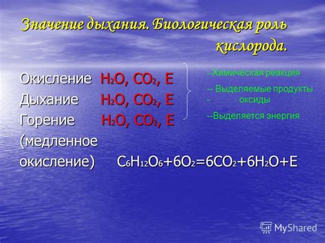 Биологическая реакция: роль конвекционных явлений