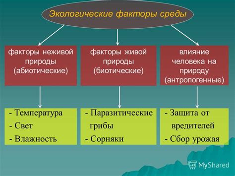 Биологические и гормональные факторы