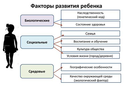 Биологические основы развития ребенка