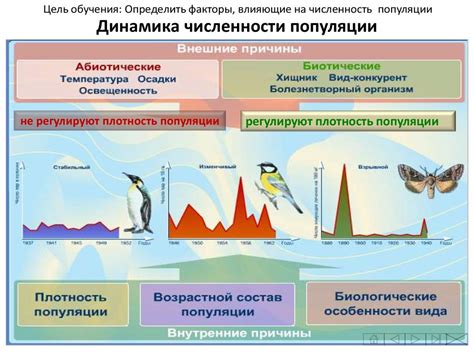 Биологические факторы, влияющие на рост леса в степи