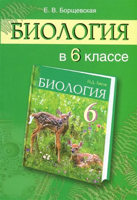 Биология в 9 классе: важность для понимания природы