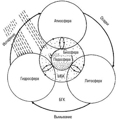 Биосфера как закрытая система в круговороте веществ