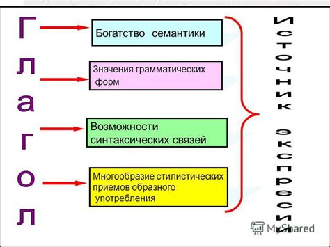 Богатство грамматических форм