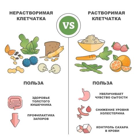 Богат источником клетчатки