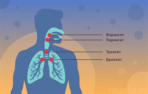 Болезни, вызывающие неравномерное вымя