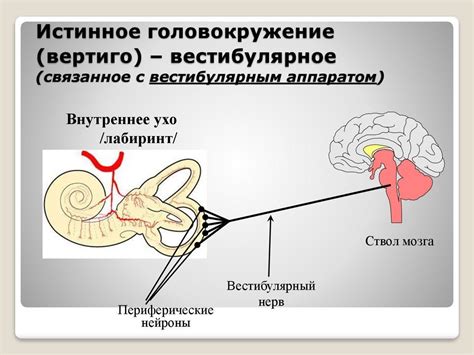 Болезни вестибулярного аппарата