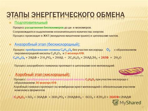 Важное значение основного энергетического вещества