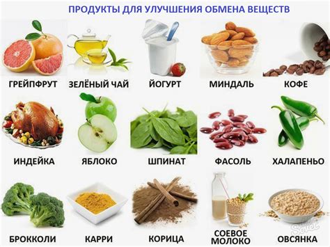 Важность вареных продуктов для сохранения питательных веществ