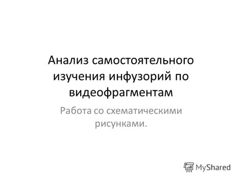 Важность изучения инфузорий