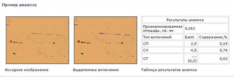 Важность исследования неметаллических включений на не травленных микрошлифах