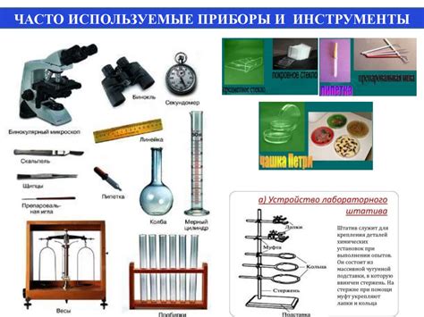 Важность исследовательской работы в биологии