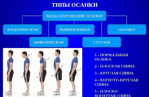 Важность осанки для рыцаря