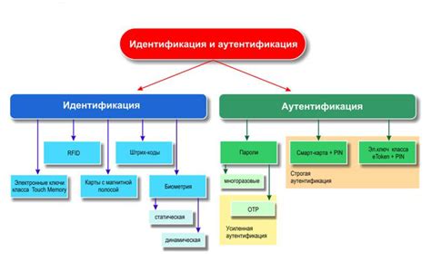 Важность понимания механизмов впитывания для улучшения технологий