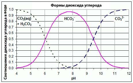 Важность правильного отношения между кислотностью и щелочностью