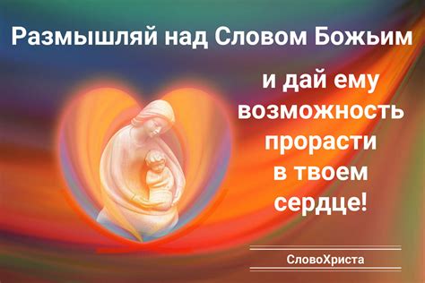 Важность размышлений и медитации над словом Божьим