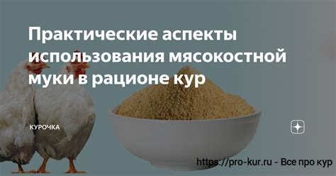 Важность рыбной муки в рационе кур-несушек