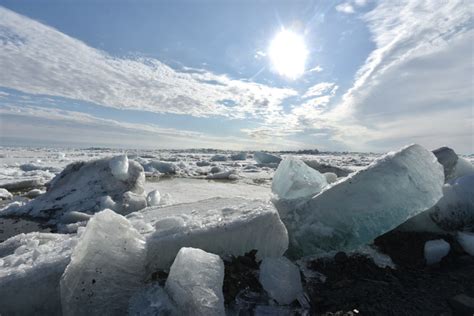 Важность сохранения природы в морях Северного Ледовитого океана