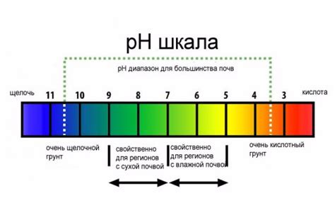 Важность уровня pH у котов