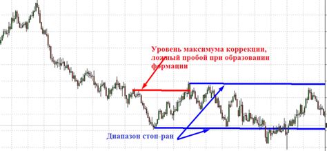 Важные советы для улучшения активности сомика