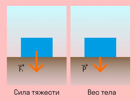 Вес и масса: объяснение разницы