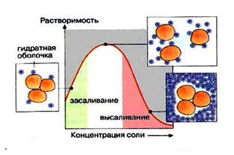 Взаимодействие белков