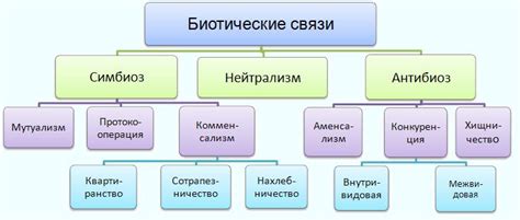 Взаимодействие географии и биологии: поиски симбиоза