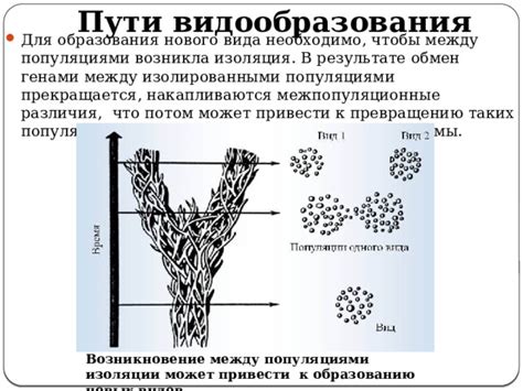 Взаимодействие между изолированными популяциями