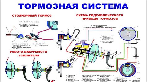 Взаимозависимость двигательных и тормозных систем