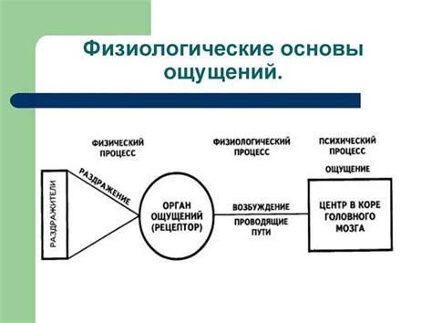 Взаимосвязь между бытием и сознанием