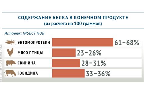 Взрослый корм содержит больше белка