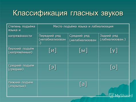 Виды звуков и их классификация