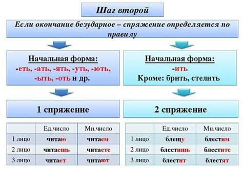 Виды и исключения