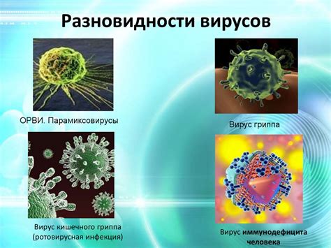 Вирусы и вирусные инфекции