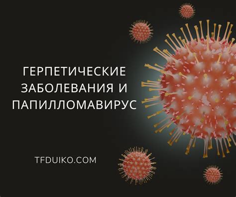 Вирусы могут вызывать инфекционные заболевания